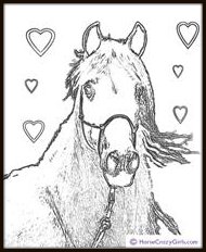 Horse Coloring Sheets on Horse Coloring Sheets