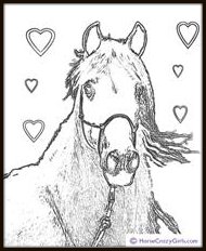 Arabian Horse Coloring Pages