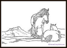 Horse Coloring Sheets on Horse Coloring Sheets