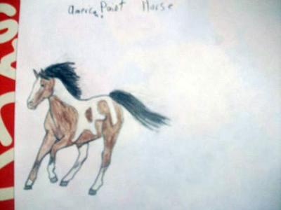my horse painting..
