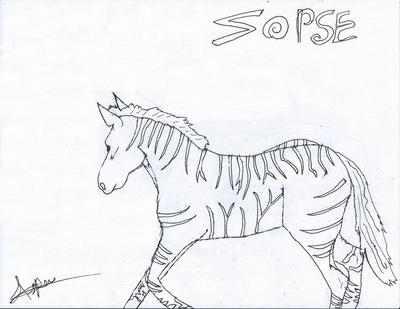  the zorse 