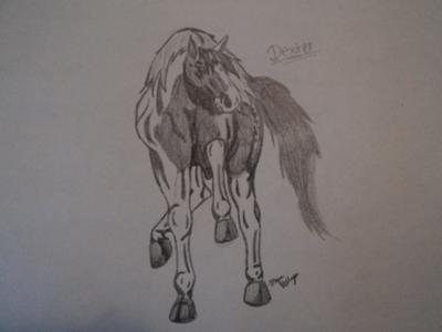 a drawing of my horse, Dexter