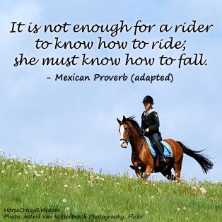Horse Pictures  Quotes on Horse Quotes