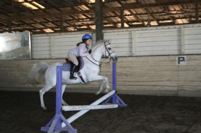 This is me jumping on Sandy. She's a fleabitten grey Arabian.