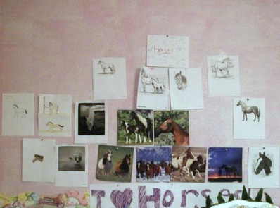 this is my horse wall