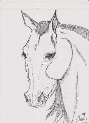 Pen horse drawing