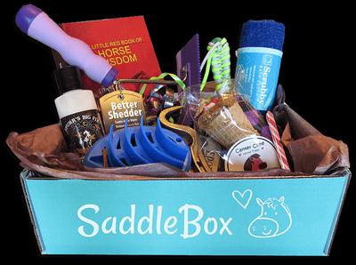 A SaddleBox subscription box. It shows the light blue box with white lettering that says SaddleBox and has a picture of a cartoon horse head and a heart. The box is open and has a purple Better Sheeder, a blue horse brush, a candy cane, a horse treat that looks like an ice cream cone, a book called The Little Red Book of Horse Wisdom, a blue Scrubby a hoof pick, hoof conditioner, and a green item in the back.
