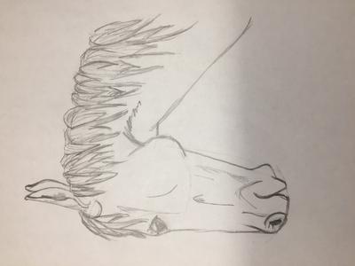 This is supposed to be an old horse