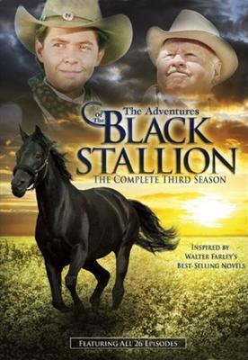 The Adventures of the Black Stallion Season 3
