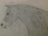 More pencil horse drawing