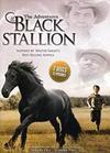 The Adventures of the Black Stallion Season 1