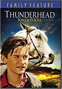 The cover of the movie Thunderhead: Son of Flicka