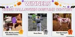 Find and share awesome horse halloween costumes. Enter our 2020 Horse Halloween Costume Contest! 