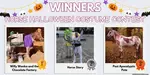 Find and share awesome horse halloween costumes. Enter our 2020 Horse Halloween Costume Contest! 