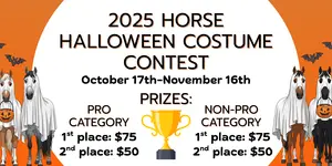 Want free horse stuff? Check out these equestrian competitions and giveaways!