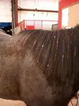 Looking for horse costume inspiration? Check out all our horse costume options and awesome costume options for horse lovers.