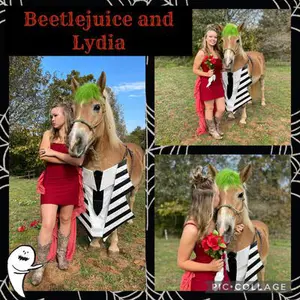 Beetlejuice Beetlejuice Beetlejuice horse Halloween costume collage