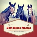Find the best horse names shared by horse crazy girls! Add your own and comment on others. 