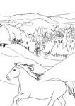 Want realistic horse coloring pages? This is place for you we have tons of real horse coloring pages for horsecrazygirls just like you!