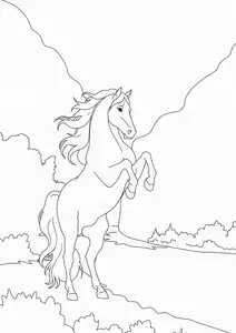 Awesome free wild horse coloring pages to print along with wild horse coloring books and coloring sheets you can buy.