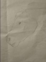 PrinceDrawingArtCollection