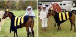 horse halloween costume baby bumble bee and her keeper