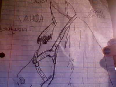 A pencil drawing of a horse's head. The horse is wearing a halter and facing away from the observer. There is writing on the page that can't be read.