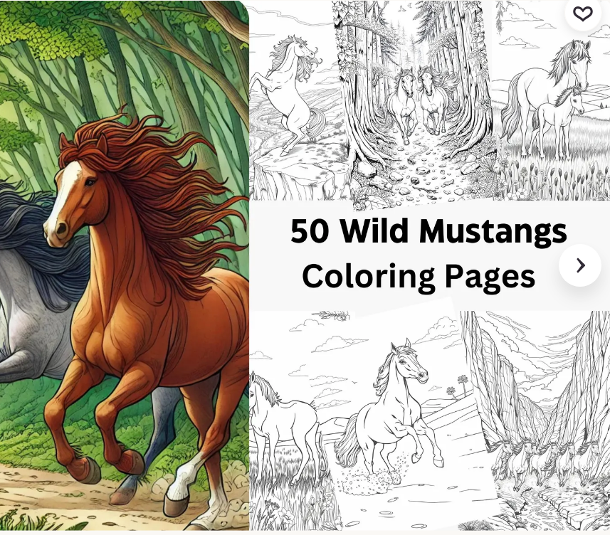 50 Wild Mustangs coloring book preview