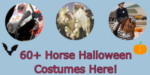 banner says 60+ horse and rider Halloween costumes