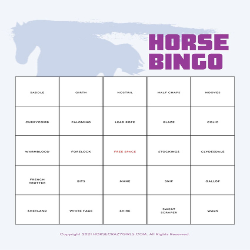 The Horse Bingo game card from HorseCrazyGirls.com.