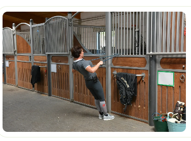 Image from wehorse of a woman working out