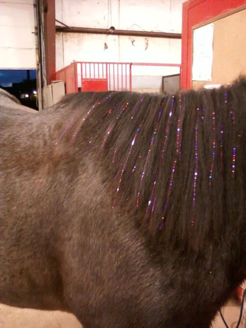 A horse's mane with sparkly stripes.