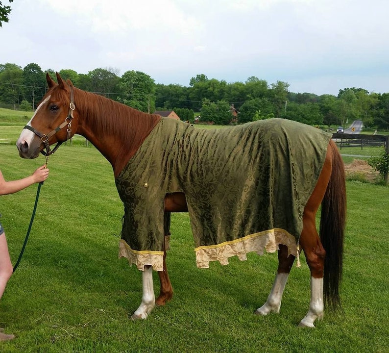 A horse waring a green and gold caprison.