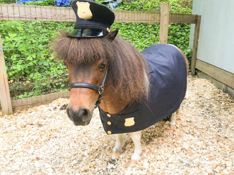 A miniature horse in a policeman's costume.