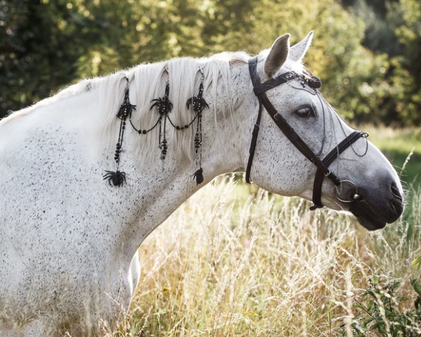 A horse with a spider web and spiders weaved into its mane.