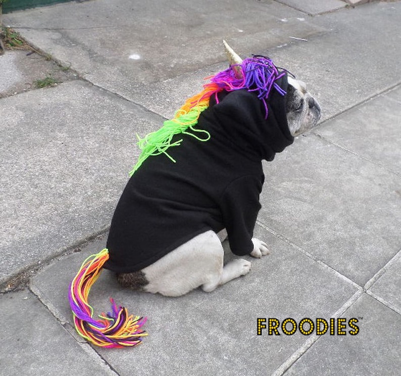 A dog in an unicorn costume.