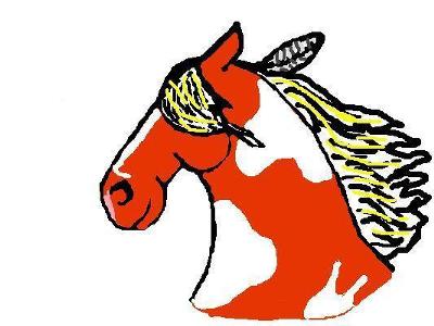 A horse head drawing. The horse is an orange and white paint with a yellow mane. The horse's mane has a feather in it.