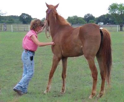 This is my mom and Dreamer in the picture