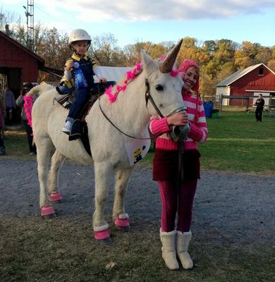 A horse dressed as a unicorn. The kid on the horse is dressed as Agnus from the movie Despicable Me and a person dressed as Edith from that movie is standing next to the horse.