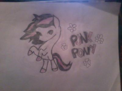 Punk Pony