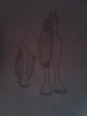 horsewith long tail+mane