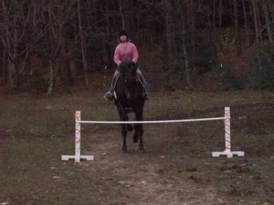 Me jumping my TWH 2.5 ft.