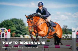 Image from Amanda Wilson Training featuring a rider and horse jumping