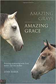 The cover of the book Amazing Grays Amazing Grace by Lynn Baber.