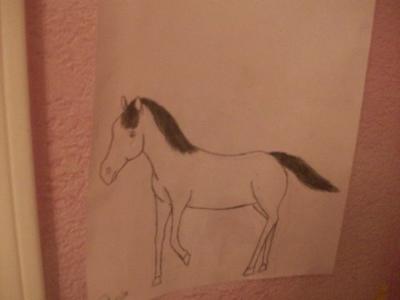 a horse drawing..