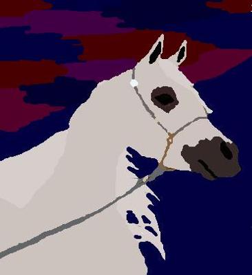 A digital painting of an Arabian horse. The horse is white with black points. The background is a mixture of blue, maroon, purple, and pink.