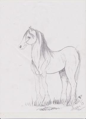 Wild Horse #1