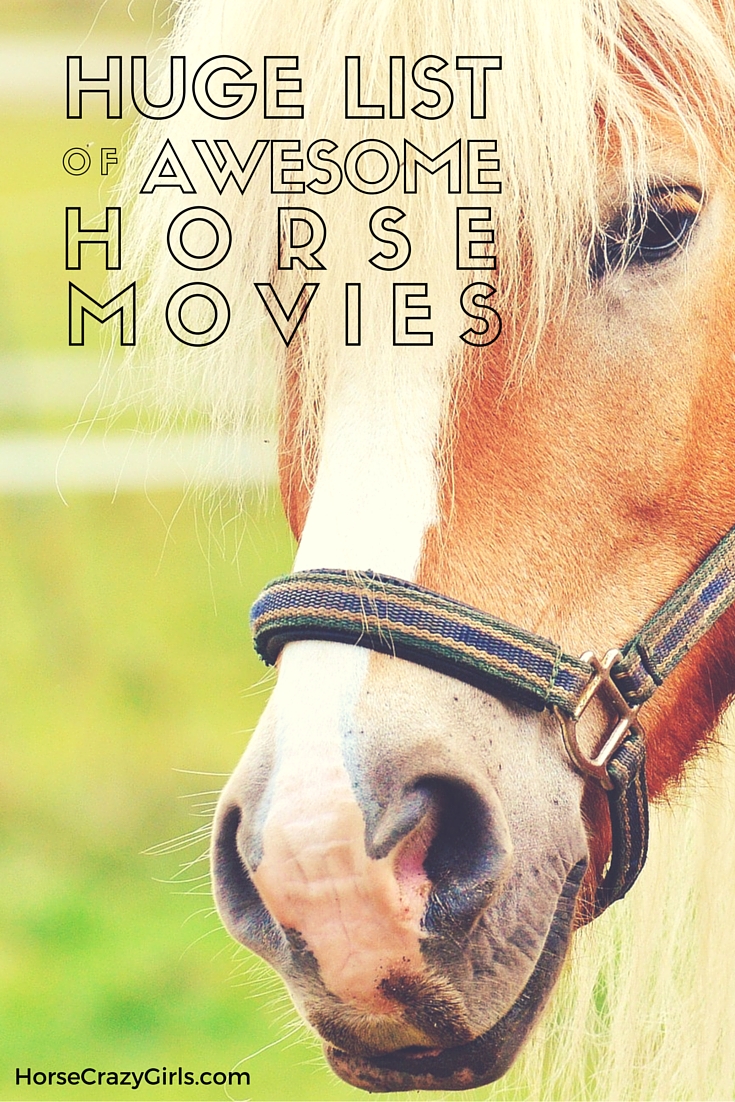 Awesome Horse Movies