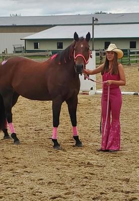 Barbie and Her Horse 2024 Halloween Costume
