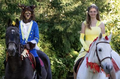 Beauty and Beast with horses
